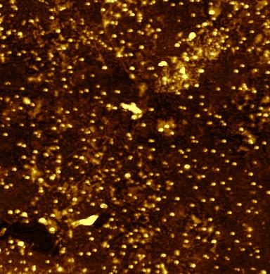 5. EXPERIMENT (a) 40 nm (b) 4 na 30 G H 3 20 2 10 1 2 µm 0 2 µm Obrázek 5.7: Výsledky měření PF-TUNA na lokálně hydrogenovaném grafenu.