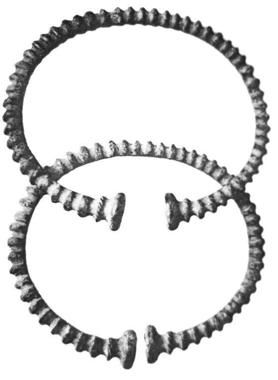 Obr. 18: Strunkovice nad Blanicí - bronzové nánožní kruhy (Waldhauser 2001, 471). 17. Třebohostice (okr.