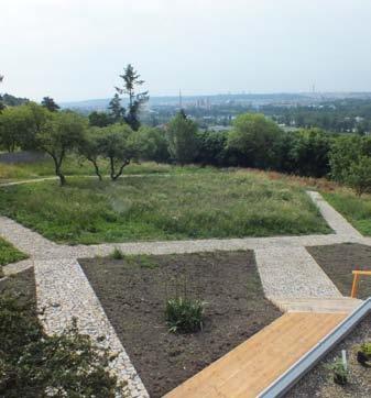 Odborná činnost 3 Písčina Vlastik Rybka Byla dokončena písčina věnovaná středoevropské květeně. V její nově dokončené části byly vysazeny vzácné panonské rostliny ze Slovenska a Maďarska.