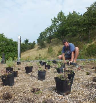 Celoročně jsou ve skleníku představovány kvetoucí orchideje ze zásobních skleníků. Na rašeliništi byla dokončená rekonstrukce v roce 2014 a v roce 2015 probíhaly dosadby mnoha druhů rostlin.