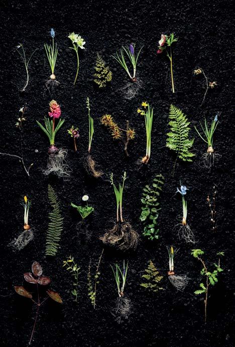 Poznejte a vyzkoušejte si stará řemesla. Jaro začíná u nás v Troji! www.botanicka.cz CLV-Bot15.