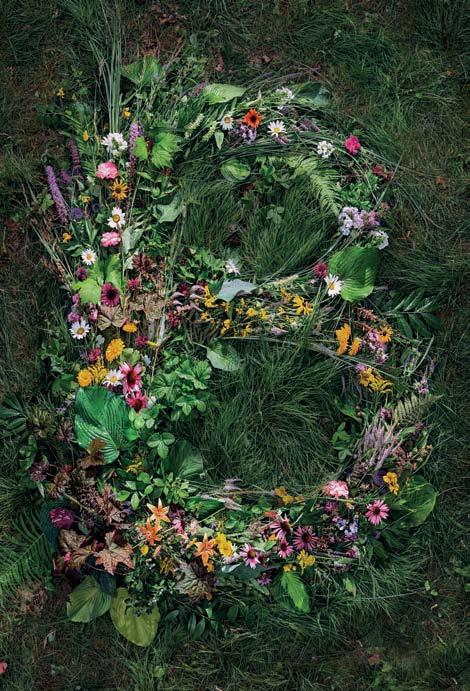 Poznání najdete v Troji! www.botanicka.cz Odpočinek, inspiraci a poznání najdete v Troji! www.botanicka.cz Prožijte léto v Troji!