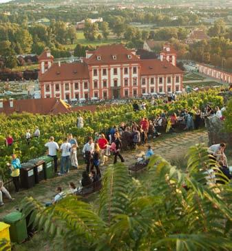 Marketing a Public Relations 5 Vinobraní 12. 13. 9. Vinice sv. Kláry nabídla přehlídku vín osmi předních českých i moravských vinařů a samozřejmě víno z trojské vinice.