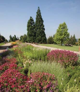 Držitele opravňuje k jednomu vstupu do všech tří areálů (v botanické zahradě do tropického skleníku Fata Morgana i na venkovní expozice). Vstupy nemusí být uskutečněny v jeden den.