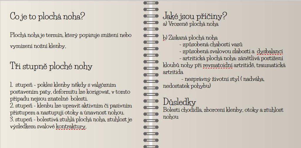 Příloha 3.