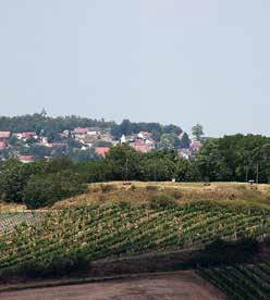 Rakouska, Lichtenštejnským zámkem Wilfersdorf. V současnosti není pro návštěvníky jednoduché poznat, že tyto výletní destinace mají společnou historii.