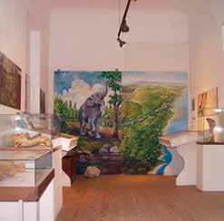 Zámecký festival Wilfersdorf 2018 zámecká vinotéka Wilfersdorf foto Michael Himml Zámecký festival Wilfersdorf Počátkem roku 2003, po té, co byla dokončena revitalizace zámku a došlo dne 11.