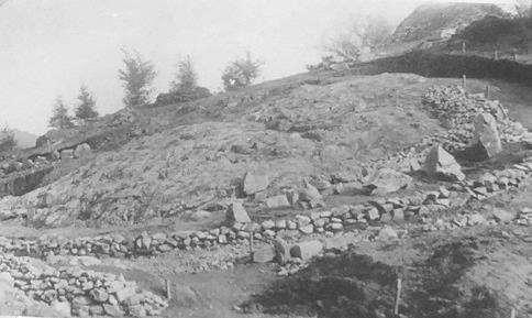 3.4.7 Oddělení číslo 14 Dobové záznamy: Záznamy o výsadbě jsou z roku 1935, kdy bylo oddělení změněno a dosázeno.