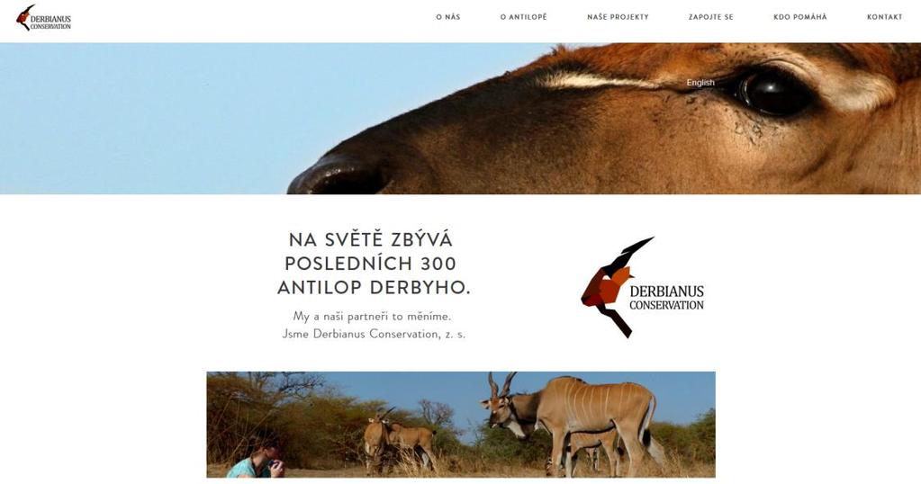 INTERNET Významným komunikačním prostředkem jsou pro nás stále webové stránky, skrz které informujeme čtenáře o našich aktivitách, úspěších i plánech.