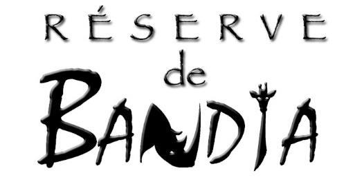 Souleyem Ndiayem a Dr.