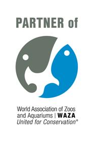 století: Ochrana přírody v Africe (Antelope, Giraffe, Hippo in the 21st Century: Conservation Action in Africa) ČR Česká republika ČZU Česká zemědělská univerzita v Praze DC Derbianus Conservation, z.