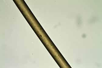 FKR 2019 91 Číslo vzorku Zápach plynů ph plynů Poznámka 1 ostrý kyselé kondenzace změkčovadel 2 parafínový neutrální 3a ostrý kyselé 3b aromatický kyselé 4a parafínový neutrální 4b aromatický