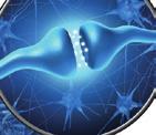 factors for neurodegenerative diseases Apolipoprotein E Genotype: ApoE 2, 3, 4 DYNEX LabSolutions, s.r.o. Lidická 977, 273 43 Buštěhrad tel.