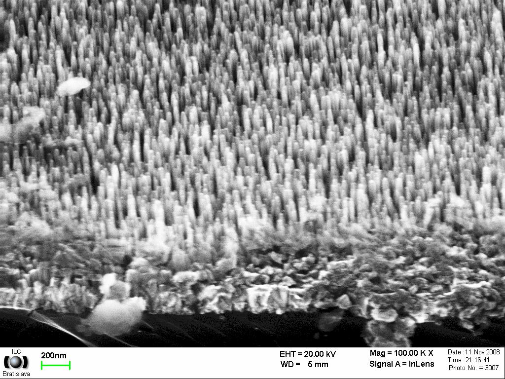 Reactive ion plasma etching Angle SEM image and EDX data from etched sample where as mask have been used Ni nanoparticles SiKα 200