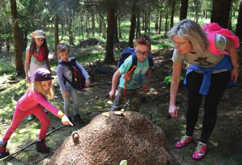 nabídka programů ferda v přírodě 1. 2. ročník ZŠ Motivací pobytového týdne je putování přírodou společně s Ferdou Mravencem a jeho kamarády.