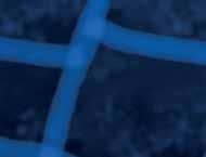 Ve