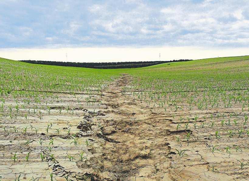 3.1.3 Degradace Degradace půdy je proces, při kterém dochází ke snížení úrodnosti, využitelnosti půdy a snižují se její ekologické nároky.