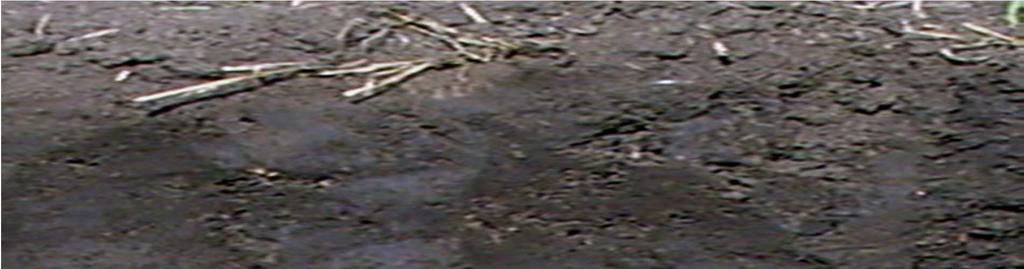 Obrázek č. 14.