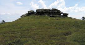 Petrovy kameny Petrovy kameny (1438 m n. m.) jsou nejznámější skálou v Hrubém Jeseníku. Z geomorfologického hlediska jsou Petrovy kameny považovány za mrazový srub.