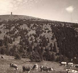 Historie působení člověka na holích v Jeseníkách Kolonizace a osídlení území Jeseníků Zatímco v okolí Jeseníků v oblastech nížin a úvalů se člověk pohyboval už v době ledové, horské polohy byly