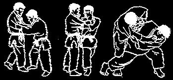 4.kyu oranžový pás I. Tai Otoši II. O Uči Gari III. Ko Uči Gari IV. Harai Goši V. Okuri Aši Harai VI. Kosoto Gari VII. Curi Komi Goši VIII. Goši Guruma I. Makura Kesa Gatame II. Uširo Kesa Gatame III.