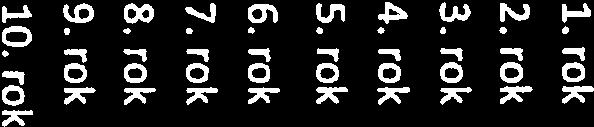 rok 4 395.3 2 507.4 4 395.3 10. rok 4 395.3 2 507.4 4 395.3 celkem 43953.