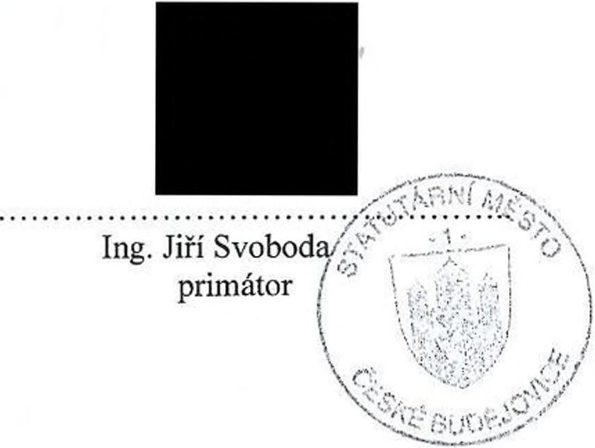 Situační plán 2. Vyjádření správy veřejných statků 3. Vyjádření investičního odboru 4. Vyjádření ČEVAK a.s. 5.