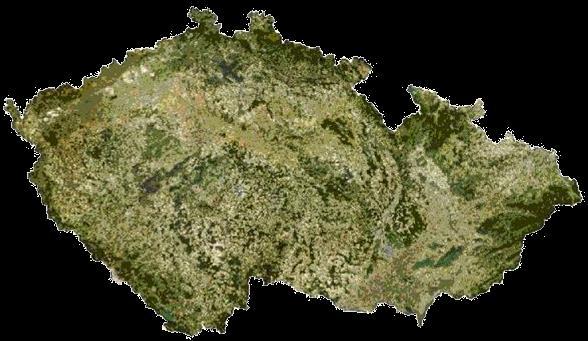Dříve byly tyto louky extenzivně zemědělsky využívány, především k pěstování obilnin.