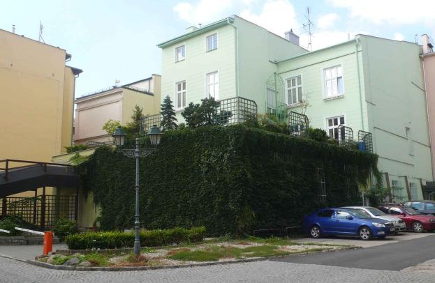 Zelená stěna centrum města, ulice Růžová.