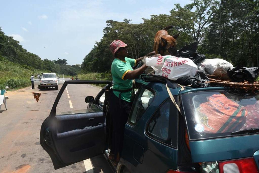 Konžská psovodkyně na checkpointu prohledává se