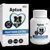 6+1 4+1 Aptus