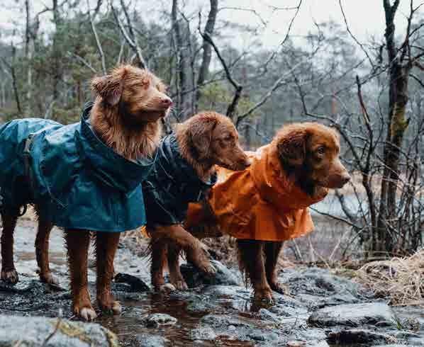 CHOVATELSKÉ POTŘEBY NOVINKA MONSOON COAT Nezbytná výbava pro každého psa v dešti, blátě a větru. Nová technická struktura poskytuje komplexnější ochranu.