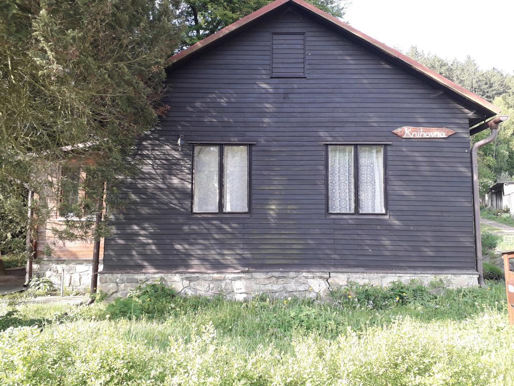 Knihovny ve