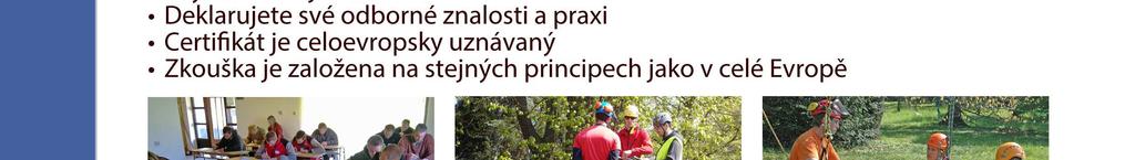 Jaká je vaše profese?