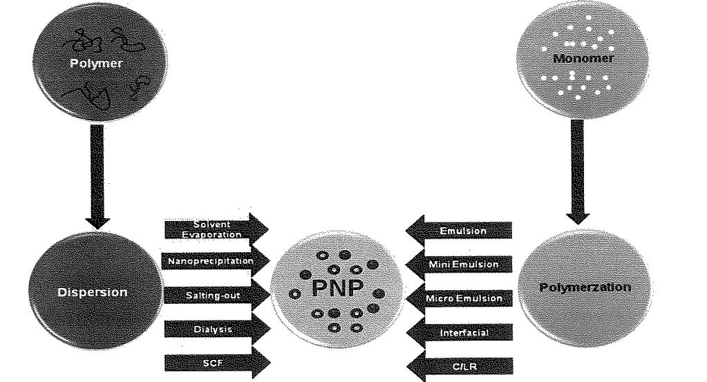 technik jako je mikroemulze, miniemulze, emulze bez tenzidu a mezifázová polymerace. Různé techniky přípravy PNP jsou pro ilustraci znázorněny na obr. 3 [1].