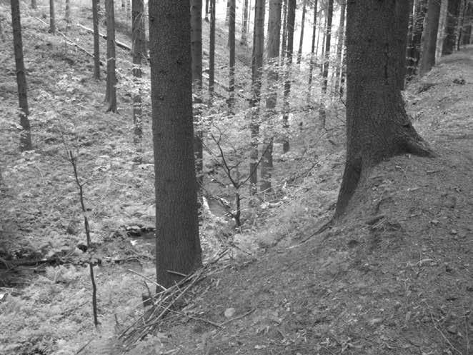 Vítek J., 1997: Ke geomorfologii údolí Zdobnice v Litickém hřbetu. In: Panorama Z přírody, historie a současnosti Orlických hor a podhůří, SEN, Dobré, 5: 15 26. Vítek J.