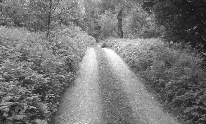 under Uhřínov village. Obr. 9: Náplavový kužel při ústí drobného pravostranného přítoku Kněžné nad osadou Benátky.