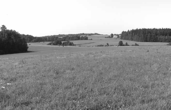 Obr. 14: Plochý parovinný povrch sz. od Uhřínova, v pozadí Podolský kopec (737 m) a Pláň (873 m).
