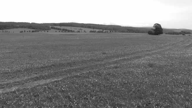 from Uhřínov village, in the background Podolský kopec hill (737 m) and Pláň mountain (873 m). Obr.