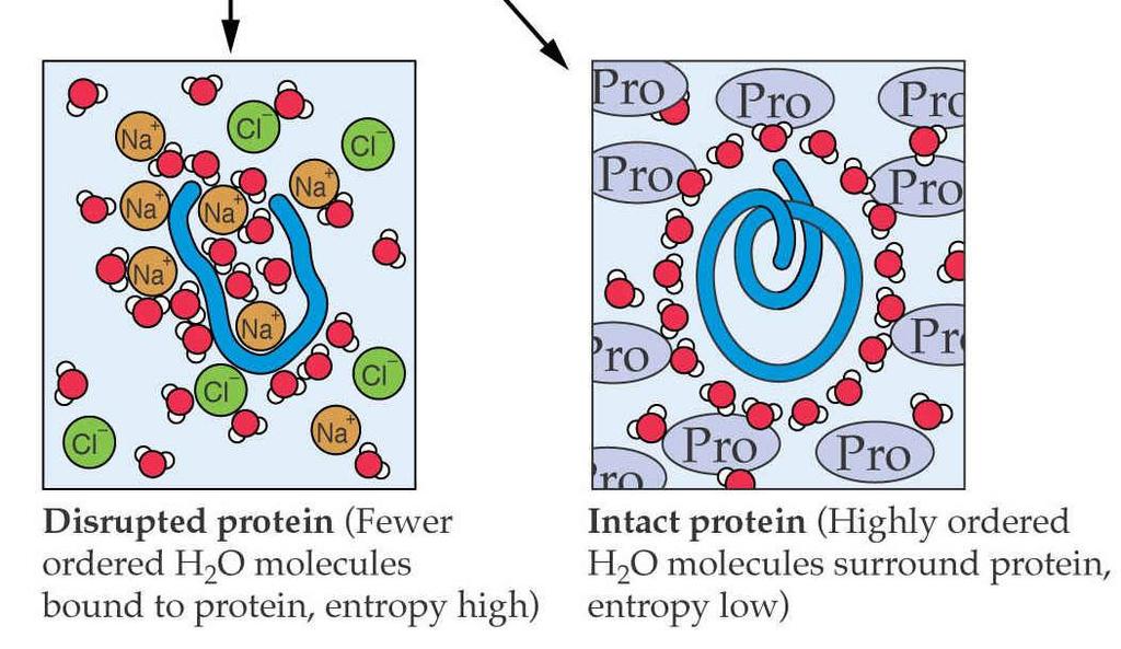 vstupují do hydratační obálky proteinů => denaturace proteinů Organické