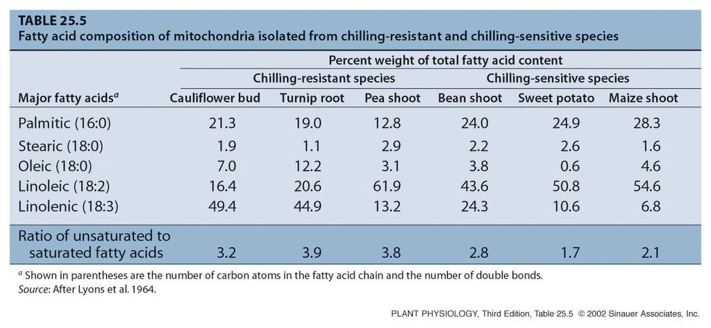 Membránové lipidy rostlin rezistentních k chladu vyšší podíl nenasycených mastných kyselin (dvojná vazba =>