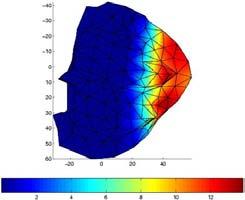 6 Conclusion The model of myocardium presented in this paper allows for capturing important nonlinear and anisotropic features of the cardiac tissue.