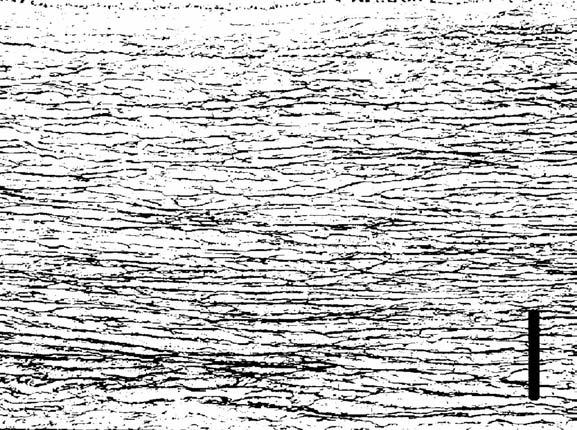 Tonar et al.