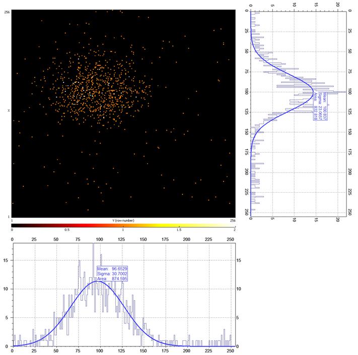 four-segment conditions. Same logic pattern was used for investigation the data measured with the AmBe source in four different positions. The output of the processing is the integral hit map.