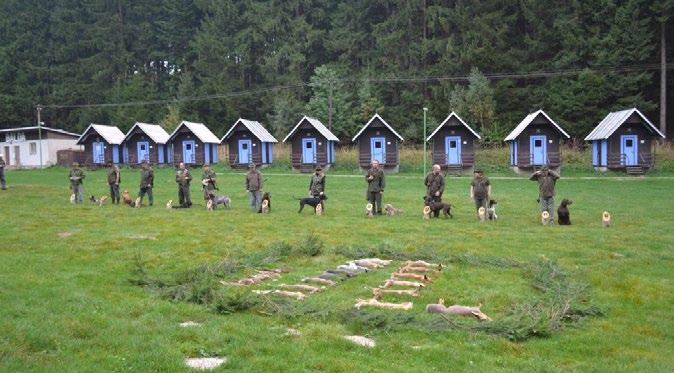 Přátelé lovecké kynologie, myslivci, vážení hosté. Kynologický klub Jedlová&Nedvězí si vás dovoluje pozvat na pátý ročník Baldeckého poháru, soutěže ohařů v lese a na vodě.