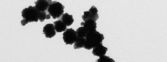 1 absorbance 0,5 9,57 10,67 11,36 11,76 11,98 12,15 12,35 0 350 400 450 500 550 600 650 700 750 800 vlnová