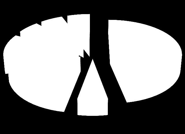 1 případě (5,9%), anti- Jk(a) v 1 případě (5,9%), anti-fy(a) v 1 případě (5,9%).