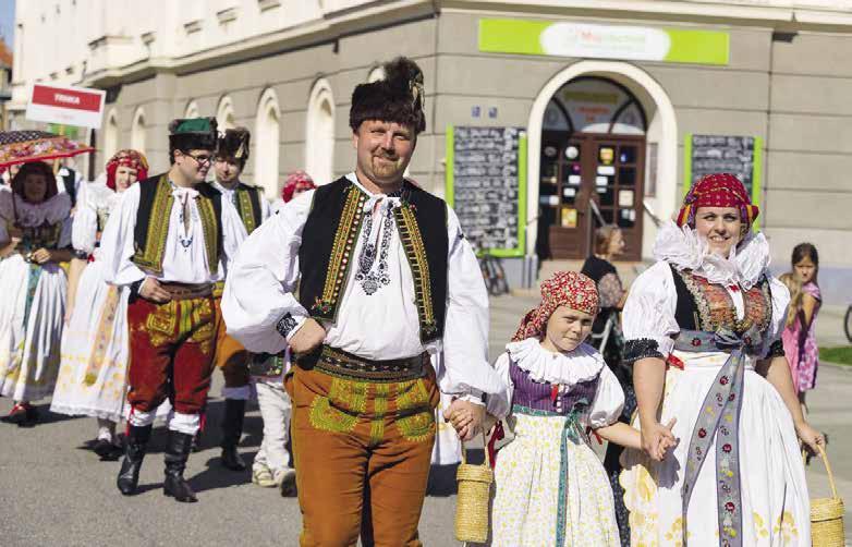 Konkrétně město Prostějov získalo na obnovu zeleně v ulici Zahradní částku přes 244 tisíc korun, vzdělání podpoří téměř 6,49 milionu korun.