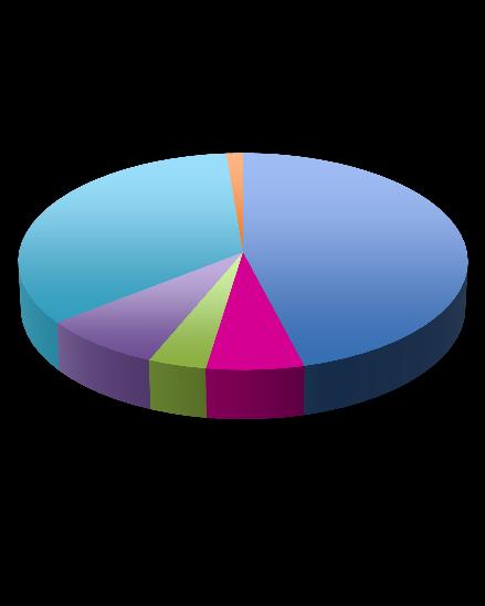 Graf 2.7 Vzdělání (N = 309) 11,7% Základní bez vyučení, případně bez vzdělání 3,9% 19,4% 38,8% 26,2% Vyučen(a) bez maturity Maturita Vyšší odborná škola Vysoká škola 2.