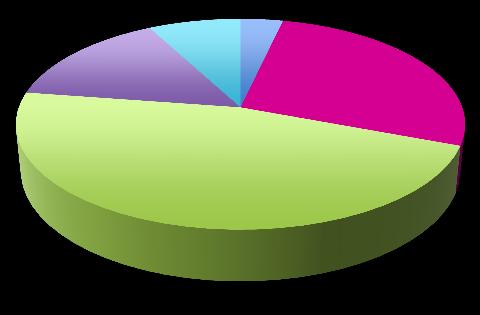 psychiatrickým onemocněním Rodiče samoživitelé (matka či otec) 1,3 1,31 1,35 1,48 1,54 1,63 Senioři 1,94 Lidé, kteří neumějí pracovat s informačními médii Lidé bez stálého zaměstnání - tj.